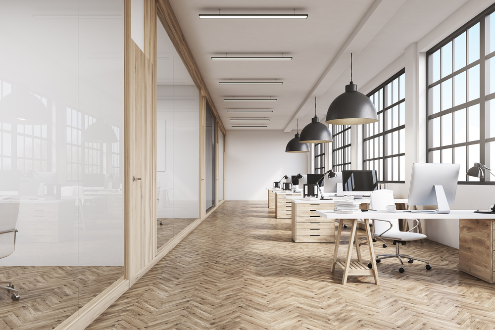 New Office With Natural Light